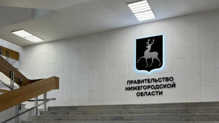 Правительство НО
