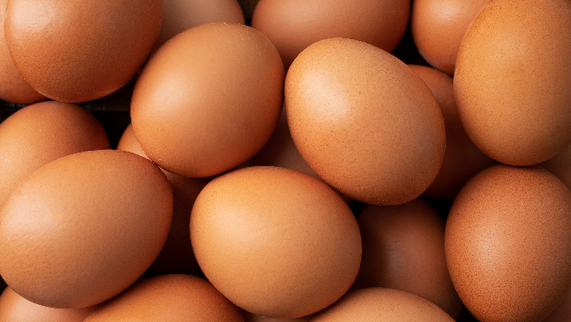 куриные яйца