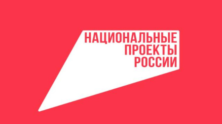национальные проекты