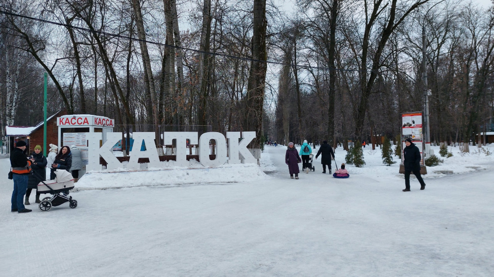 Около 250 тыс. человек посетили нижегородские парки в новогодние праздники