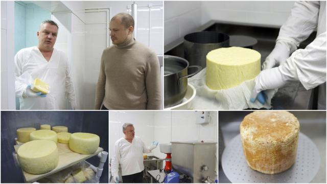 фермерское хозяйство 