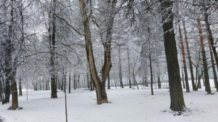 Зимний парк в Нижнем Новгороде