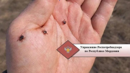 укус клеща
