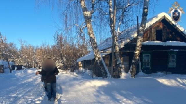 Чамзинский район