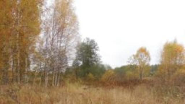 земельный участок