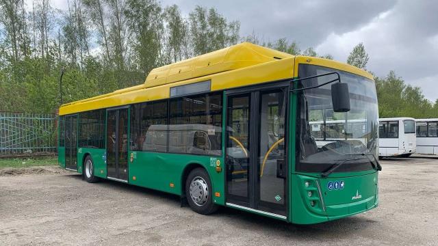 автобус МАЗ