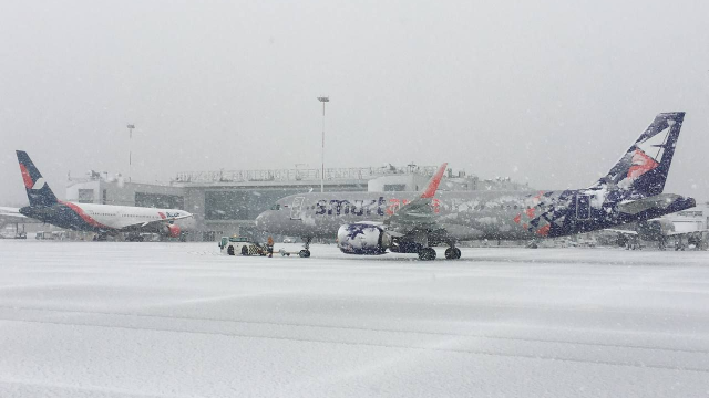 Аэропорт Нижнего Новгорода назвал самые пунктуальные авиакомпании 2025 года