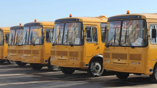 школьные автобусы