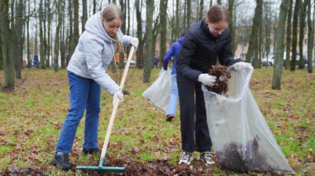 «Зелёная Весна»