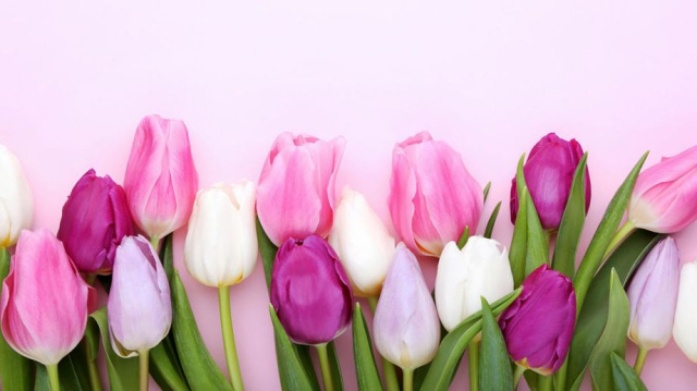 Цветочный рынок