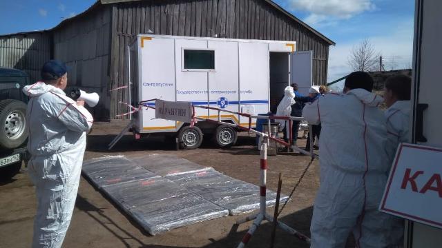 В двух селах Нижегородской области ввели карантин из-за бешенства