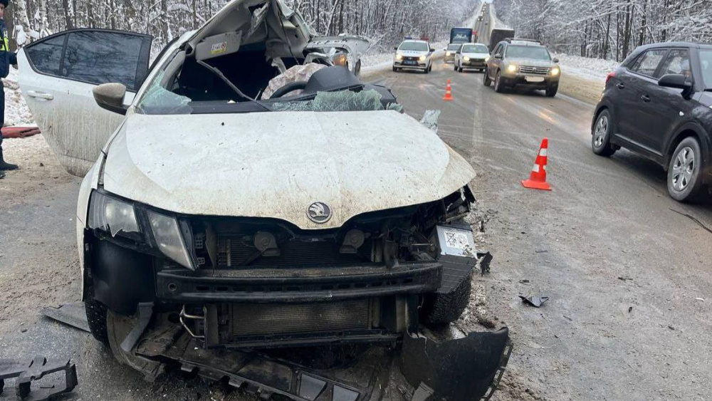 Трое сотрудников АНО «КРПП НО» погибли в ДТП на трассе Р-158 под Арзамасом