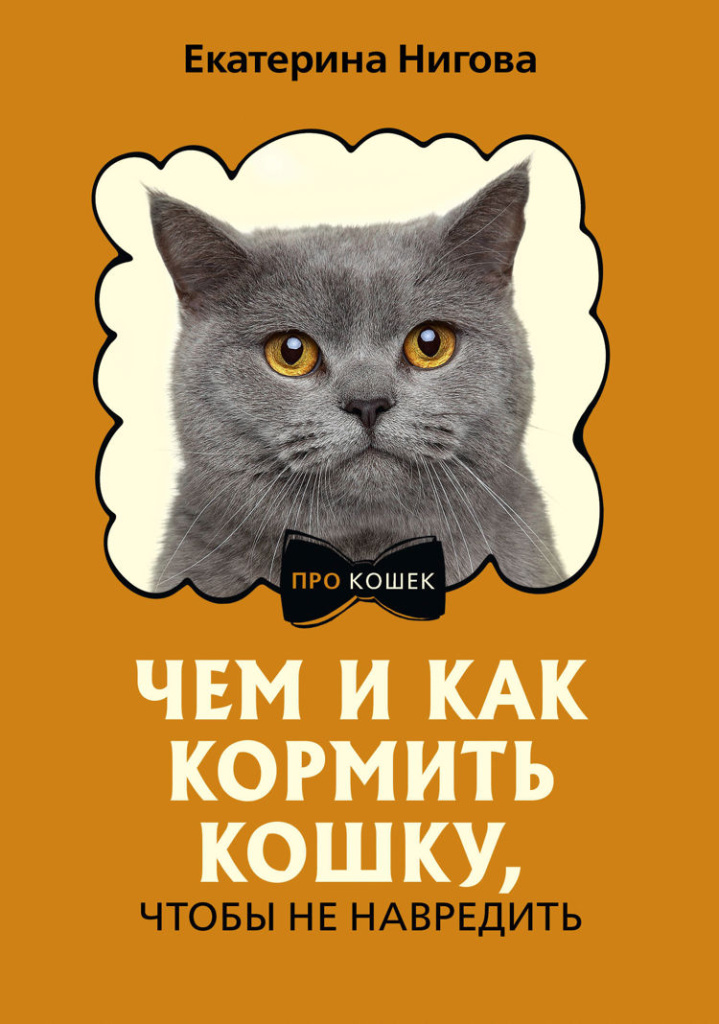 Фото: Строки от МТС 4. Чем и как кормить кошку, чтобы не навредить.jpg