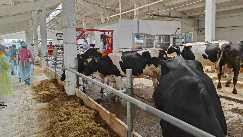 Ферма в Башкирии.png