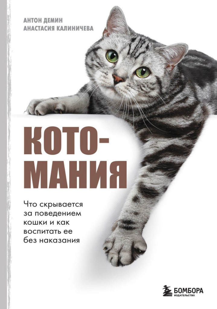 Фото: Строки от МТС 2. Котомания. Что скрывается за поведением кошки и как воспитать ее без наказания.jpg