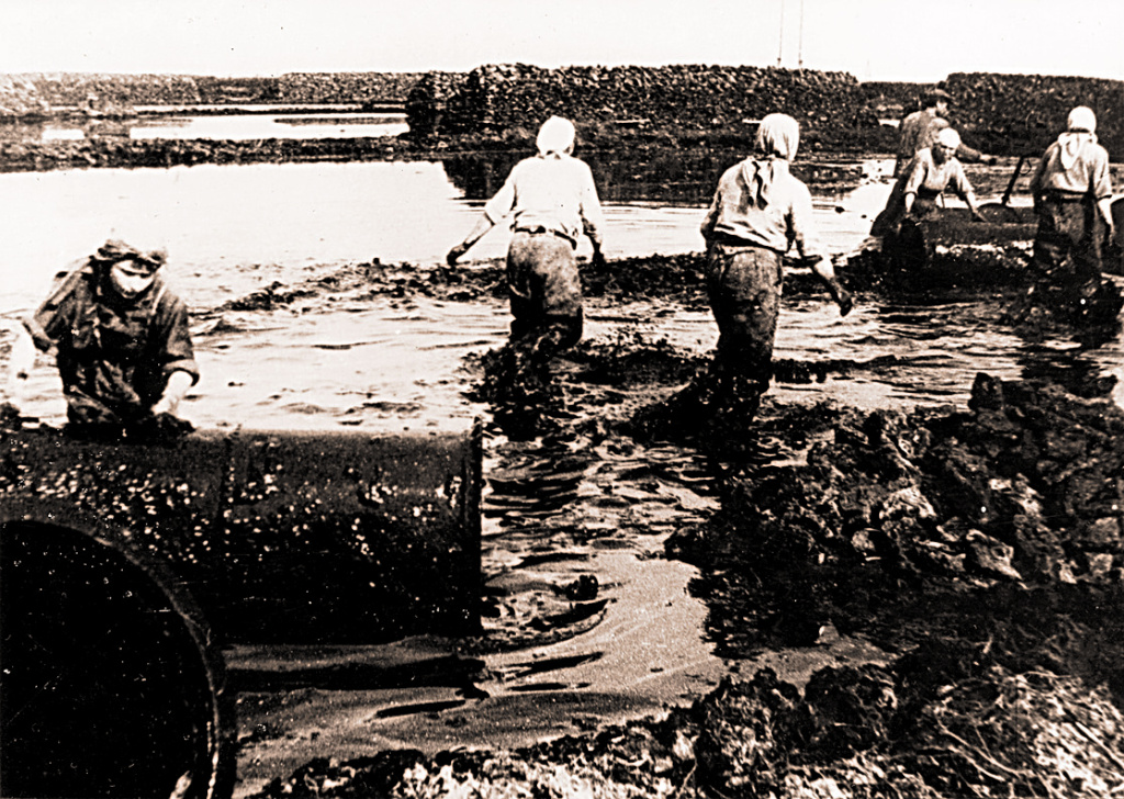 Torfodobicha_1942.jpg